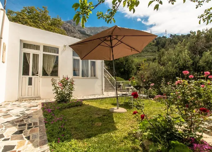 Vacation Home Petar